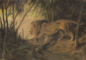 Lion Heading to the River